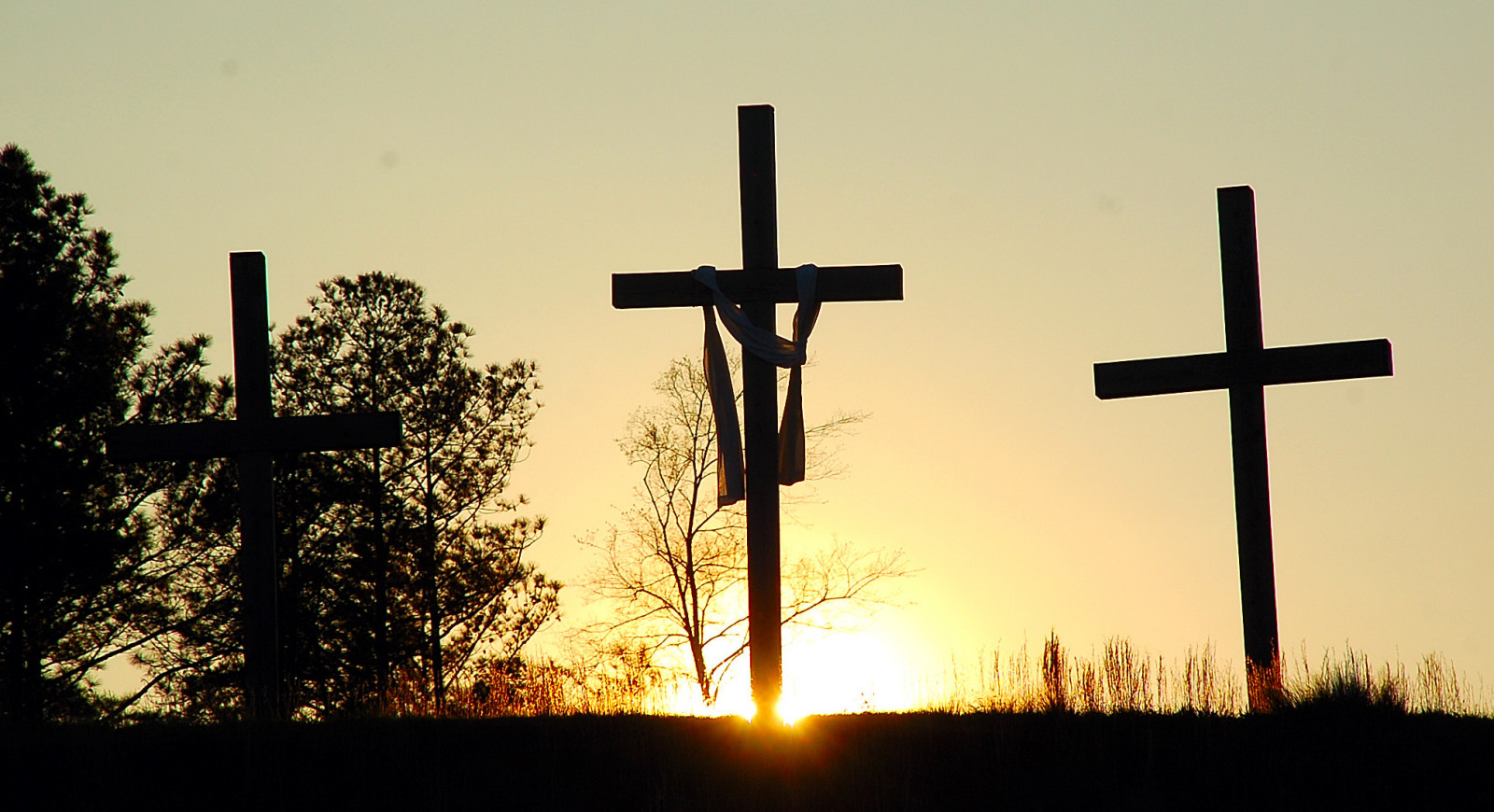 "I am the resurrection and the life. Those who believe in me even though they die,will live,and everyone who lives and believes in me shall never die." 