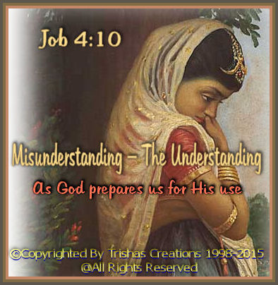 Misunderstanding – The Understanding
