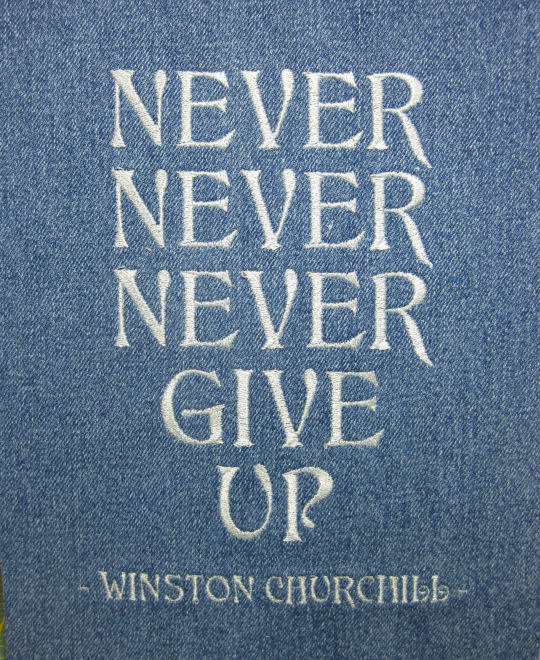 Perseverance means persistence under discouragement and contrary pressure