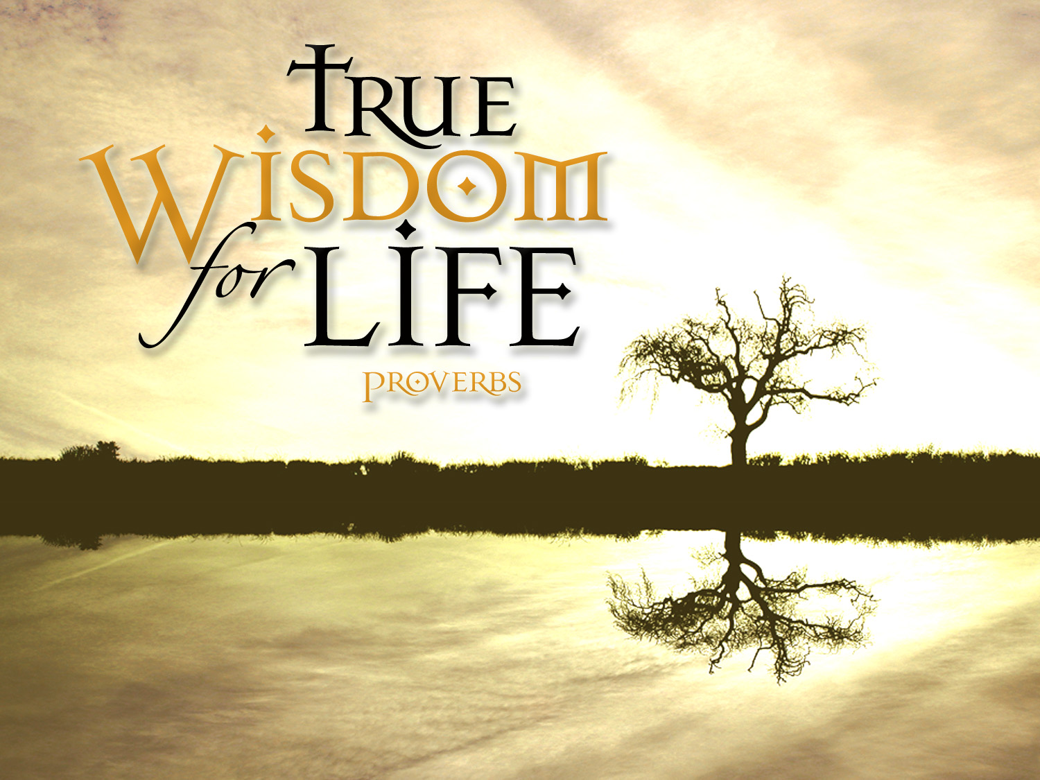 Wisdom is a special capacity, necessary for full human living; it can be acquired through education and the application of the mind.