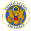 Air Force Insignia