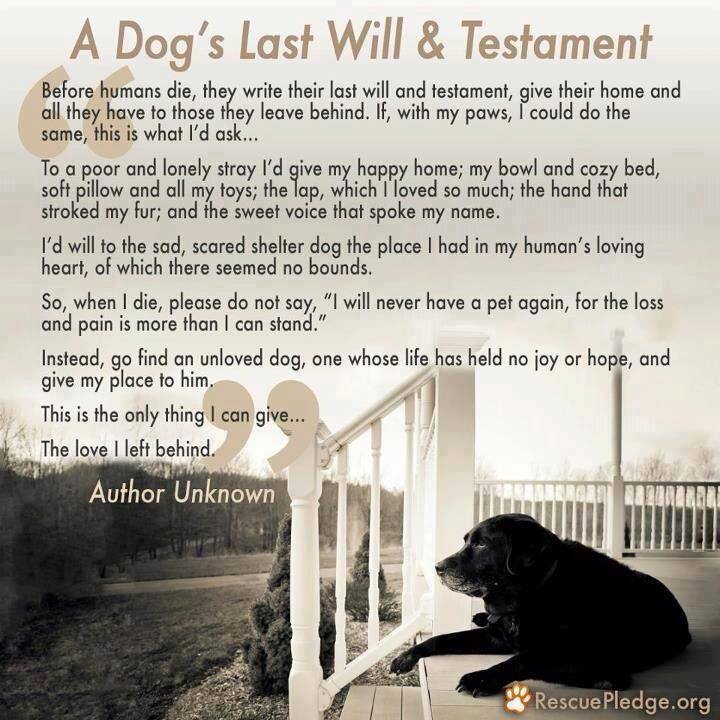 A Dogs Last Will and Testament