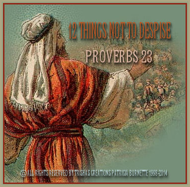 12 Things Not To Despise