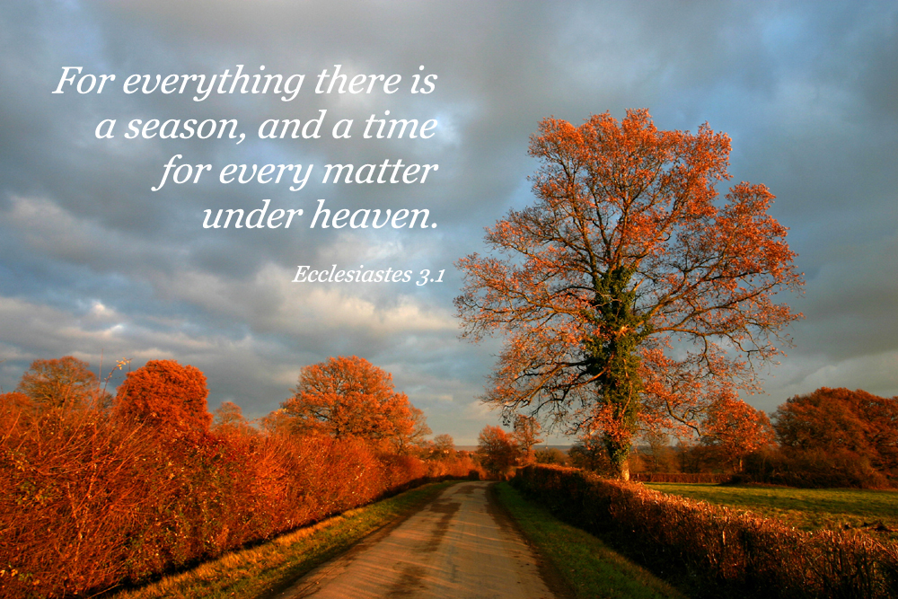 There is a time for everything, a season for every activity under heaven. God provides boundaries of time and seasons for us. 