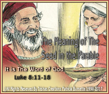 The Meaning of The Seed in the Parable