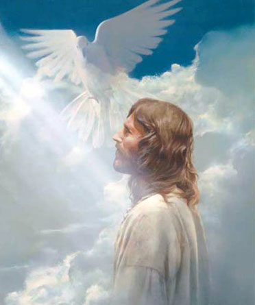 Jesus & A Dove