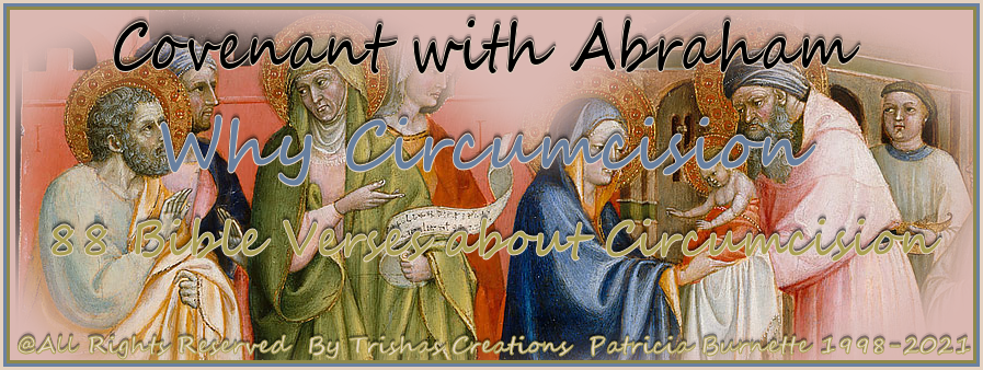 88 Bible Verses about Circumcision Covenant with Abraham Why Circumcision