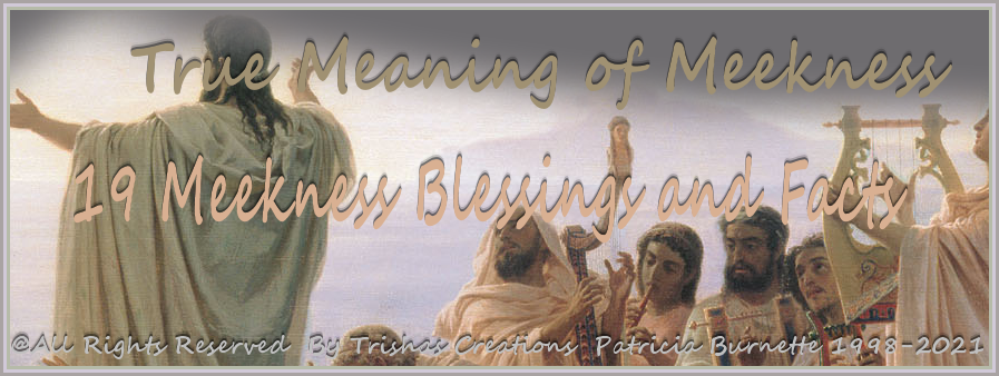 True Meaning of Meekness