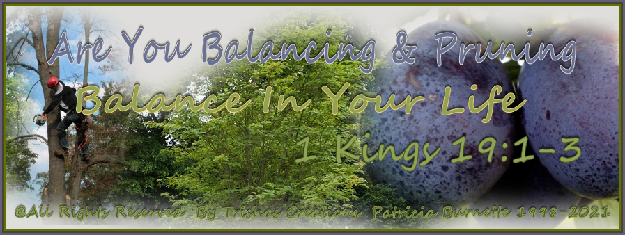 Pruning and Balancing